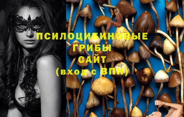 гидропоника Армянск