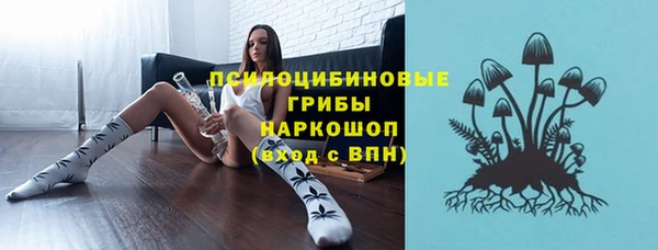 прущий лед Ладушкин