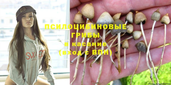 кокс Лагань