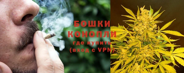 гидропоника Кулебаки