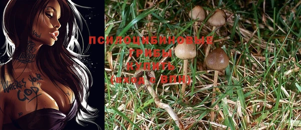 гидропоника Кулебаки