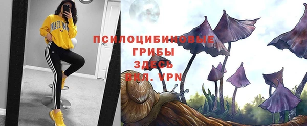 меф Лабытнанги
